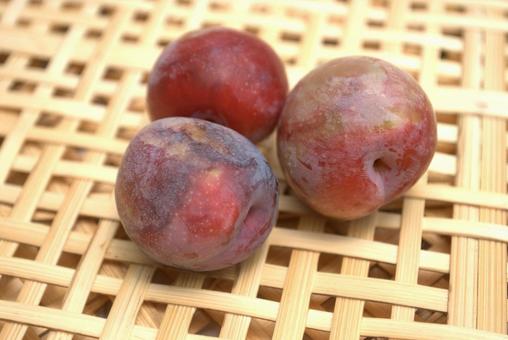 Photo, sumomo, plum, santa rosa, 