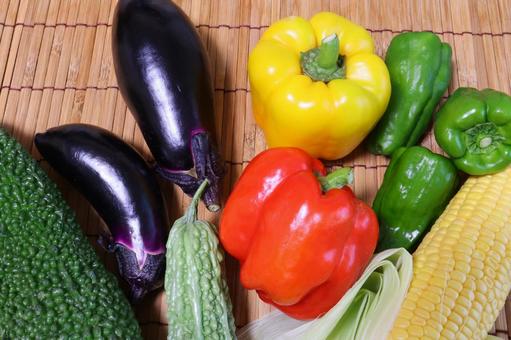 夏野菜 4 夏野菜 4 夏野菜,野菜,ゴーヤの写真素材
