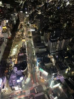 東京夜景 東京夜景の写真
