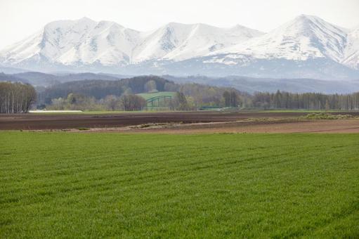 GW明けの雪化粧の十勝岳と美瑛の風景 GW明けの雪化粧の十勝岳と美瑛の風景 雪化粧,十勝岳,美瑛の写真素材
