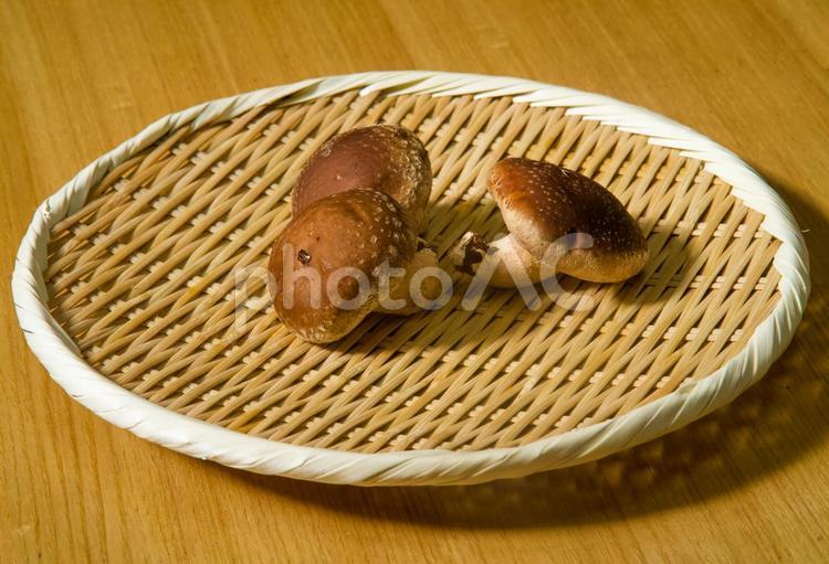 竹ざるとしいたけ しいたけ,ざる,ひごの写真素材