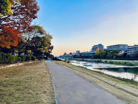 秋の京都鴨川河川敷の夕景2 鴨川,京都,古都の写真素材