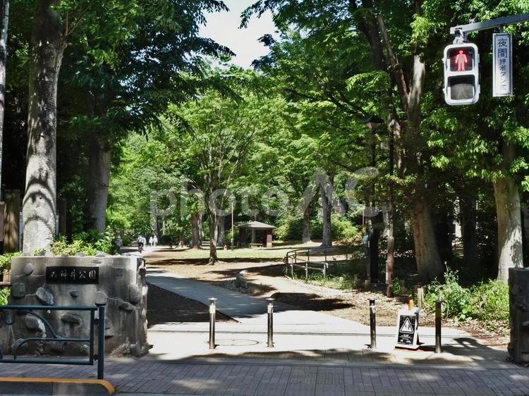 石神井公園 東京都立石神井公園,出入口,井草通りの写真素材