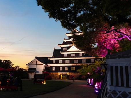 ライトアップされた岡山城天守閣 ライトアップされた岡山城天守閣の写真