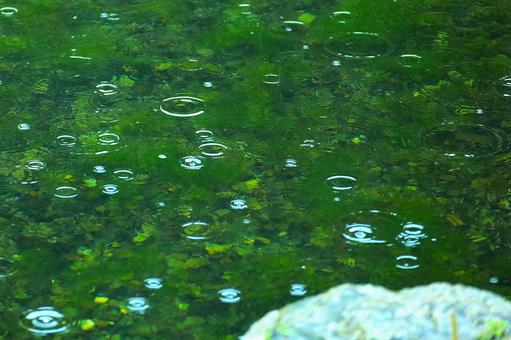 雨の波形ー自然の美 雨の波形ー自然の美の写真