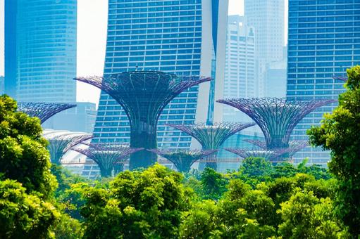 スーパーツリーと都市風景 スーパーツリー,マリーナベイサンズ,シンガポールの写真素材