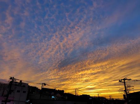 秋の夕暮れの写真