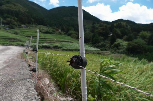 棚田の道路沿いのイノシシ除けのケーブル 棚田の道路沿いのイノシシ除けのケーブルの写真