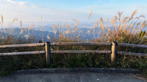 ススキの穂と景色 すすき,ススキ,金色の写真素材
