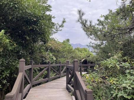 遊歩道１ 遊歩道,公園,桜島の写真素材