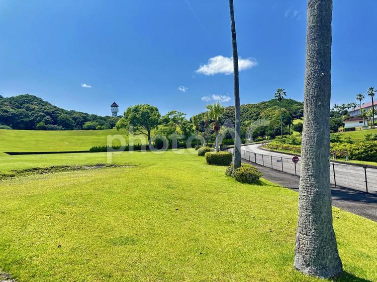 公園　夏の景色 太地町森浦,公園,公共施設の写真素材
