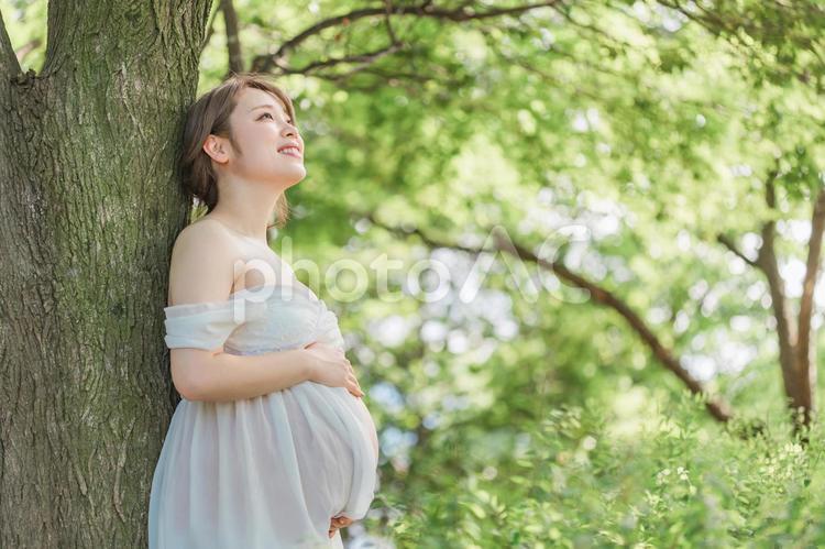 マタニティフォトの撮影をする妊婦の女性 妊婦,妊娠,マタニティフォトの写真素材
