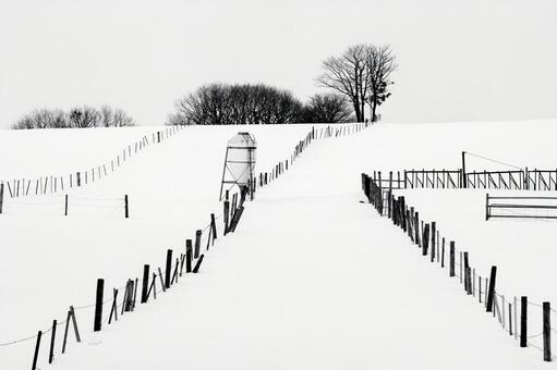 冬の牧柵が描く静寂の線 雪景色,牧場,雪原の写真素材