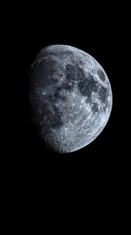 月面 月,月面,天体の写真素材