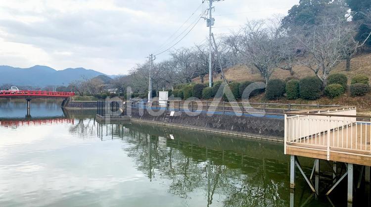 冬の甘木公園 冬,公園,自然の写真素材