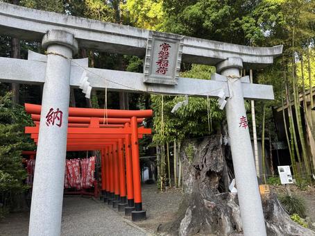 常磐稲荷神社の写真