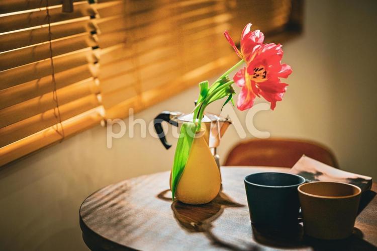 温かみのある午後 テーブル,花,ピンクの写真素材