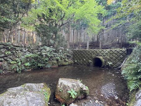森の奥の小さなトンネル 森の奥の小さなトンネルの写真