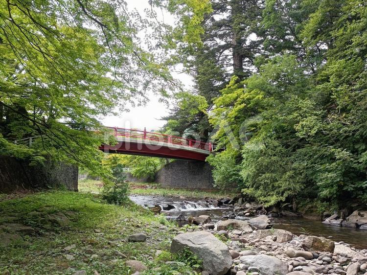 もみじ山付近の小川とそこにかかる橋 もみじ山,川,橋の写真素材