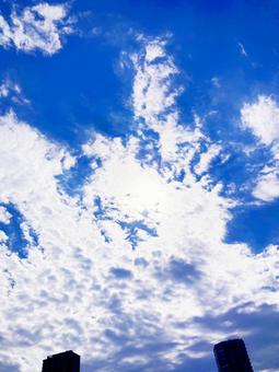 夏空 夏空の写真