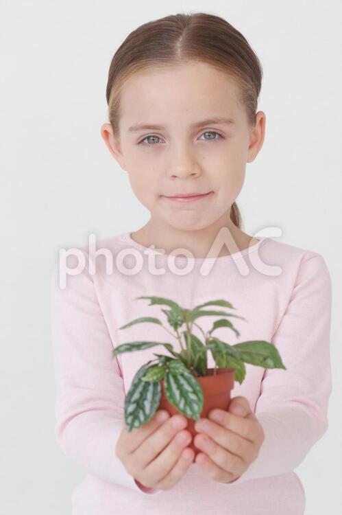 植木鉢を持つ女の子2 子供,女の子,外国人の写真素材