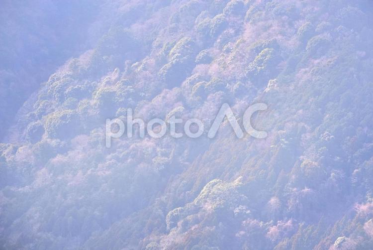 霞がかった冬の山肌 02 自然,背景,風景の写真素材