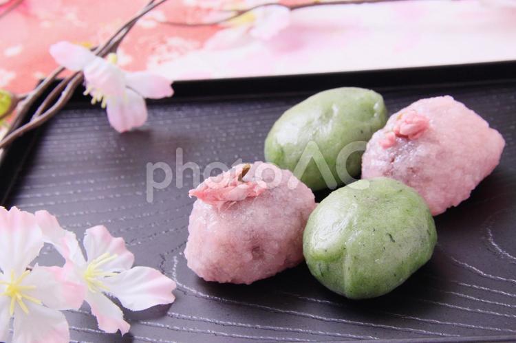 桜もちとよもぎ餅　花見の季節 和菓子,食べ物,おやつの写真素材