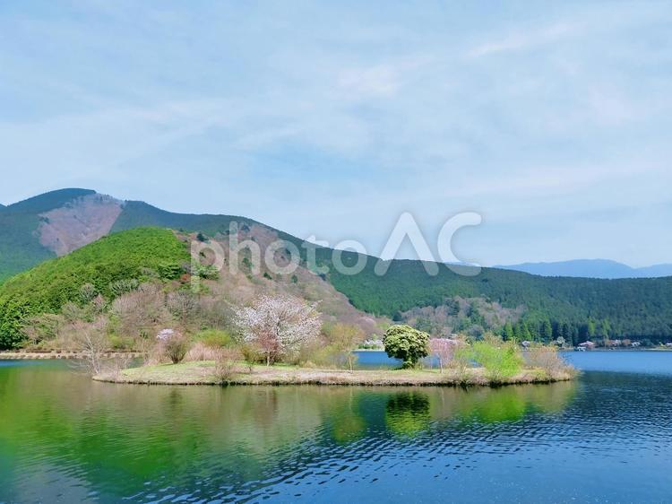 湖の真ん中に小さな島が 田貫湖,富士宮市,湖の写真素材