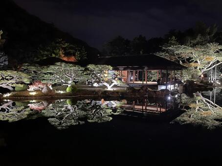 池に写る景色 香川県,栗林公園,ライトアップの写真素材