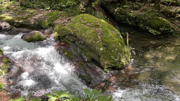 鬼怒川5 鬼怒川5 ゴザ池ノ滝,フライフィッシング,アウトドアの写真素材