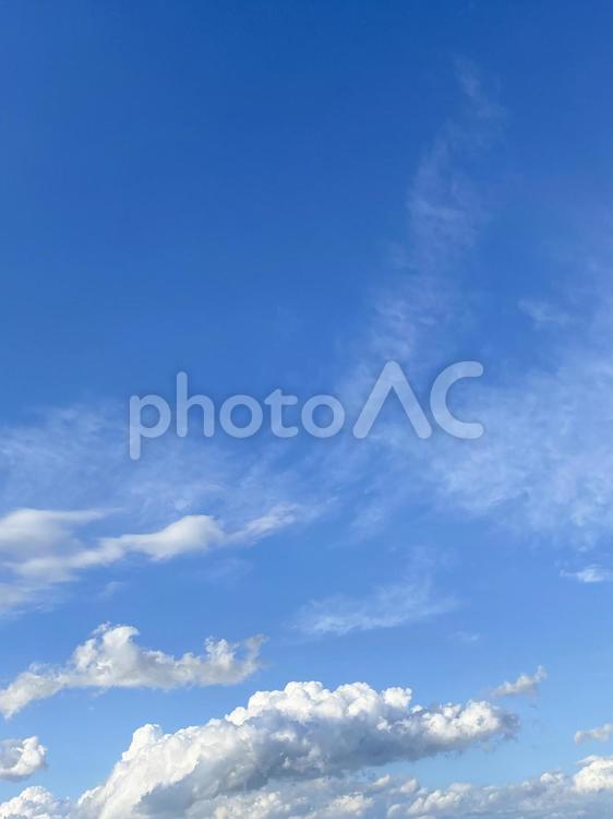 夏の空　縦型 夏,空,縦の写真素材