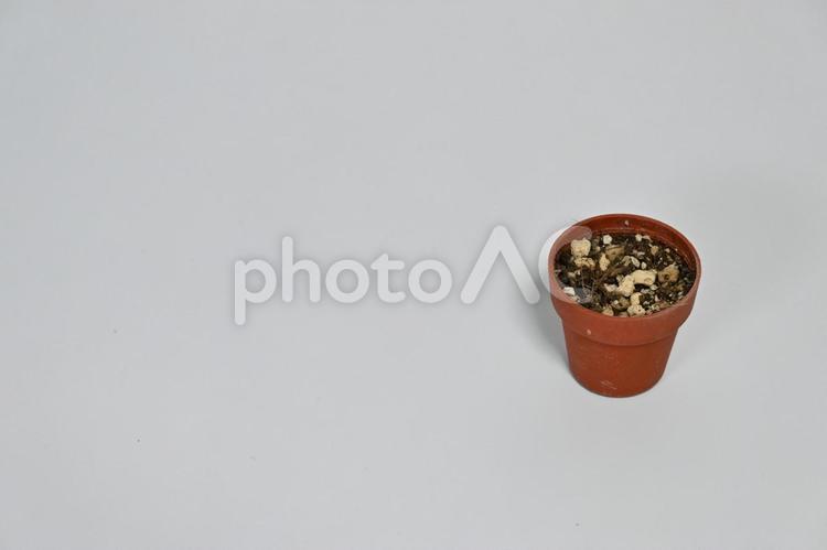 小さな鉢植えの土 鉢植え,土,植物の写真素材