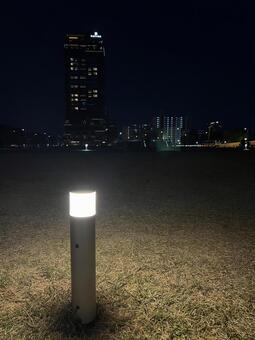 夜の公園 公園,芝生,夜の写真素材