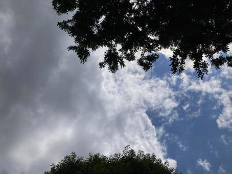 6月の空 6月の空の写真