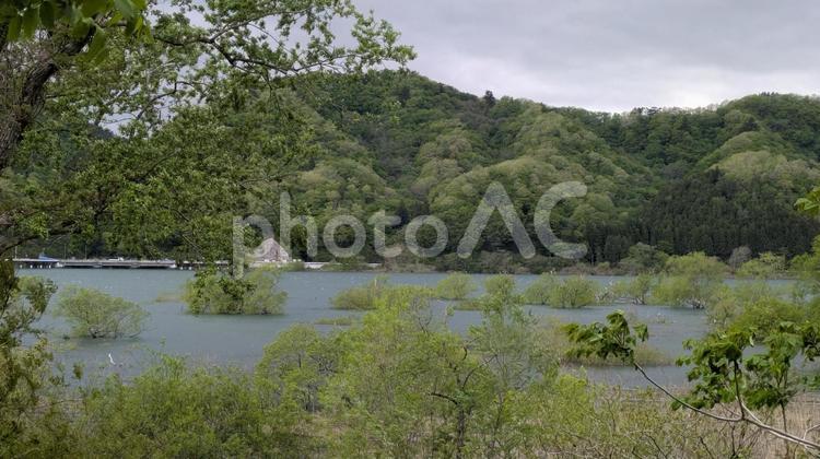 大倉ダム(仙台市) 湖面,風景,山の写真素材