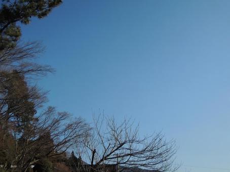 空 青空 秋 空 青空 秋の写真