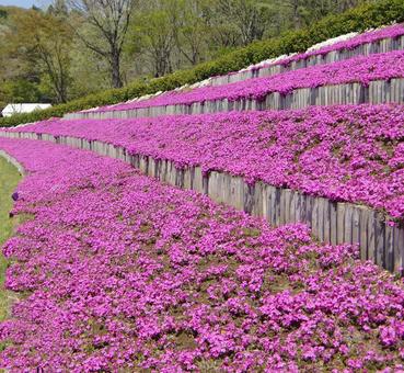 笠間芸術の森公園-12 笠間芸術の森公園-12の写真