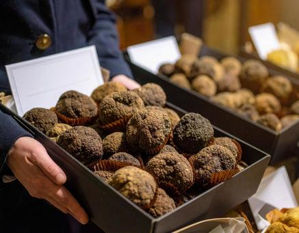 トリュフ トリュフの写真