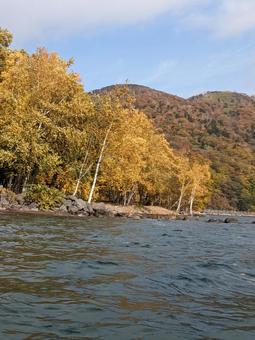 北海道支笏湖の紅葉 北海道支笏湖の紅葉 秋,紅葉,北海道の写真素材