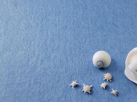 かわいい星の砂背景_2 かわいい星の砂背景_2の写真