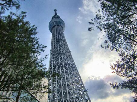 曇り日の東京スカイツリー-198 東京スカイツリー,曇り日,雲の写真素材