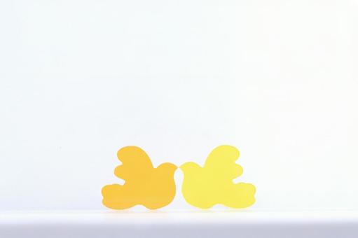 Two-color pigeon acrylic plate_24/78, JPG Two-color pigeon acrylic plate_24/78, JPG
