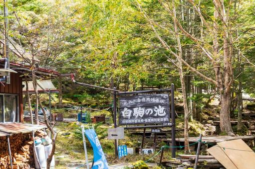 八ヶ岳白駒池 山小屋入り口 八ヶ岳白駒池 山小屋入り口 日本,長野県,南佐久郡の写真素材