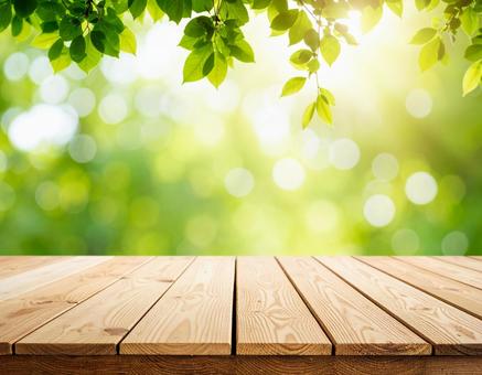 緑のあるウッドデッキと木漏れ日のイメージの写真