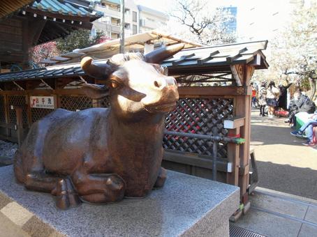 湯島神社 湯島神社の写真