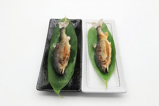 子持ち鮎の塩焼き2尾(山形県白鷹町産) 子持ち鮎の塩焼き2尾(山形県白鷹町産) 鮎,アユ,子持ち鮎の写真素材