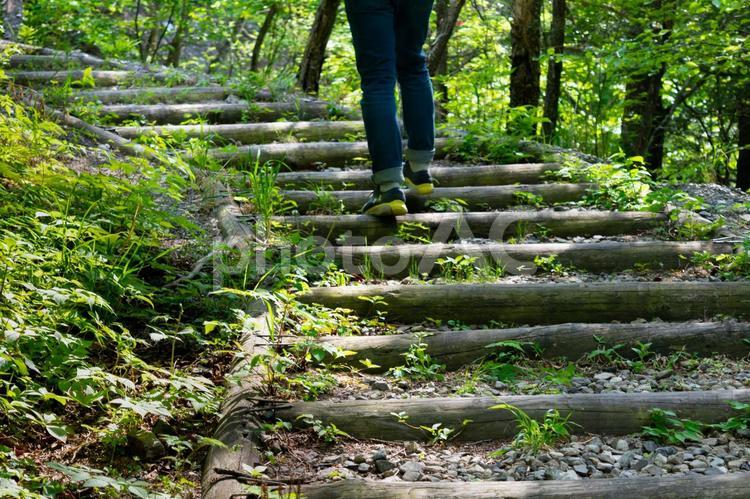 初夏の山をトレッキングをする男性 登山,トレッキング,ハイキングの写真素材