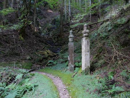 高野山 町石道 高野山 町石道の写真