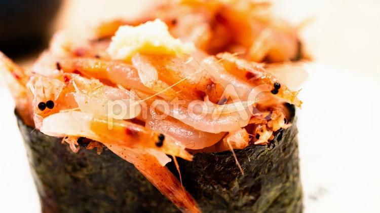 桜エビの軍艦巻き 寿司,桜エビ,軍艦巻きの写真素材