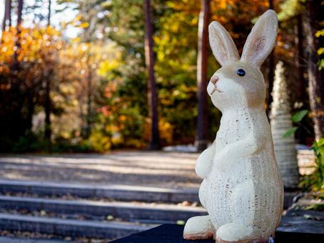 森に飾られたうさぎの置物 うさぎ,かわいい,森の写真素材